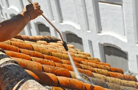 Démoussage de toiture à Corme Royal